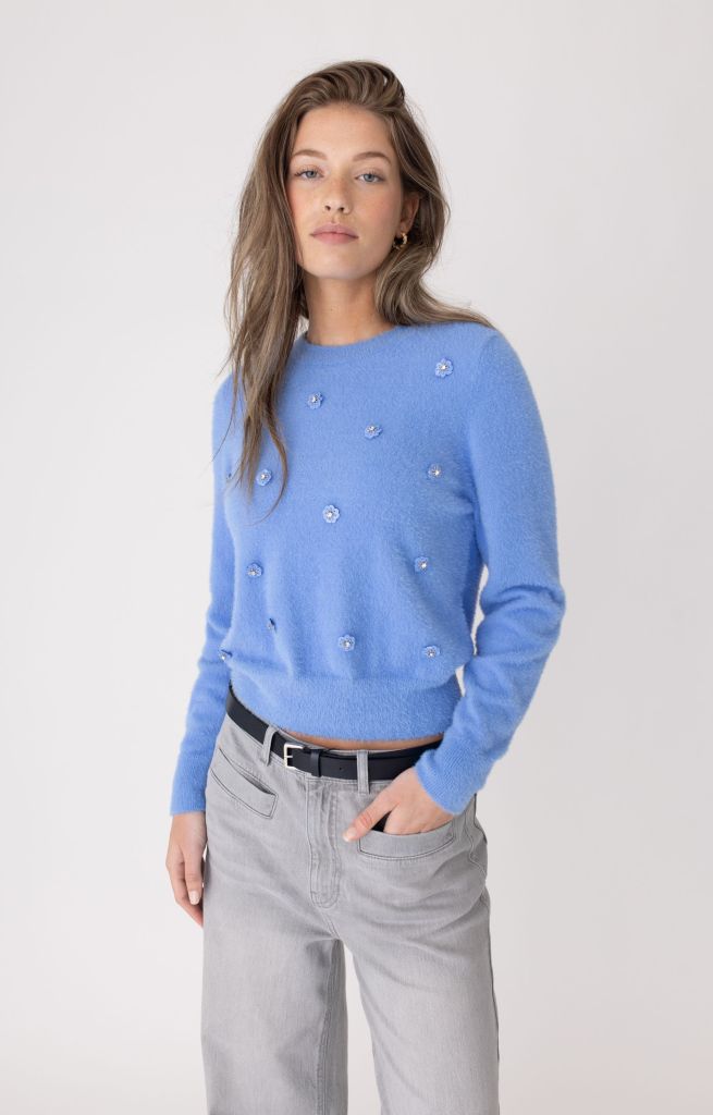 Pullover Lange Mouw Anna Blue Light Blue Solid