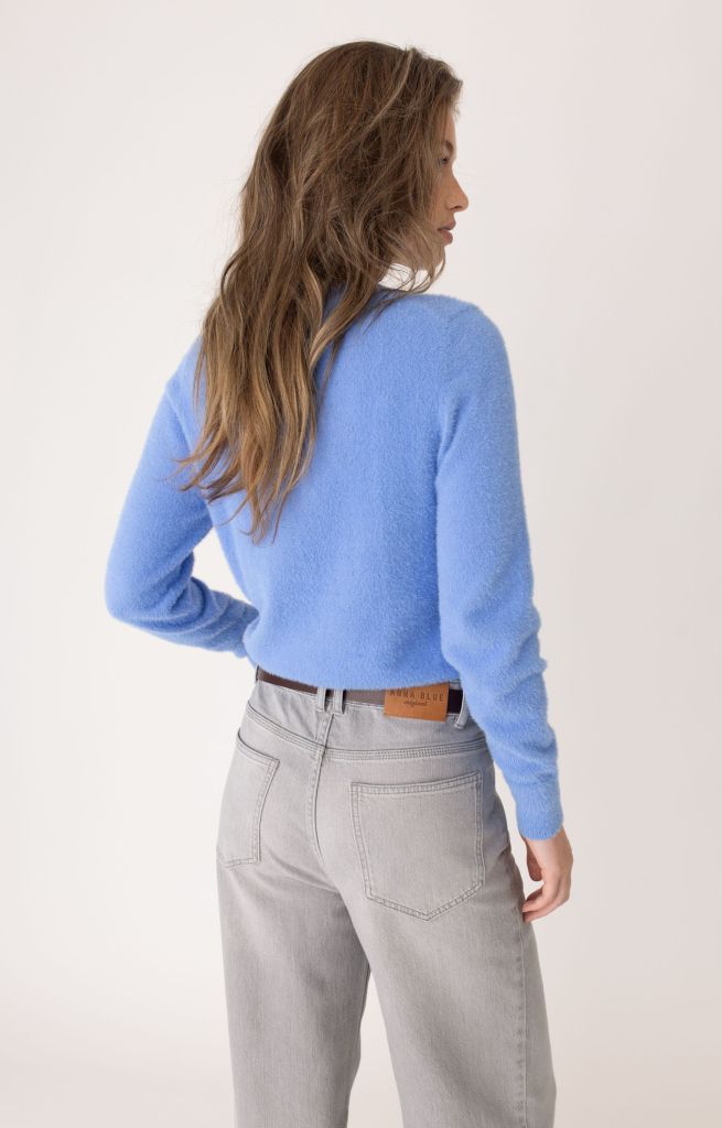 Pullover Lange Mouw Anna Blue Light Blue Solid