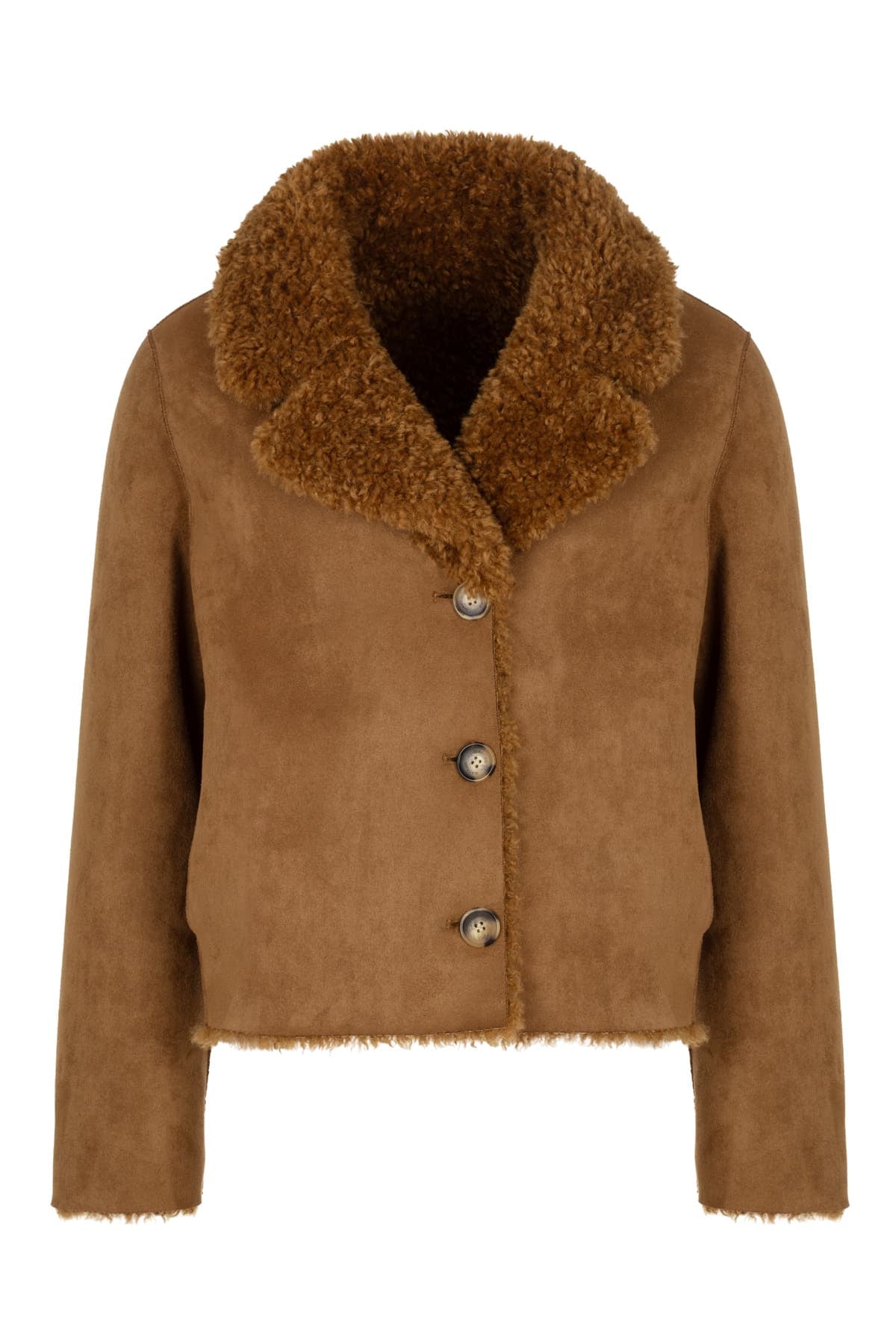 Giacomo Teddy Jacket Short Camel